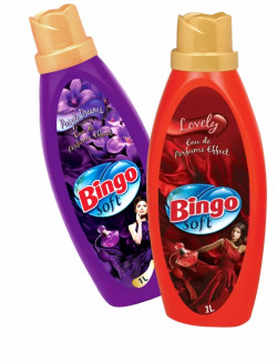 BINGO BINGO